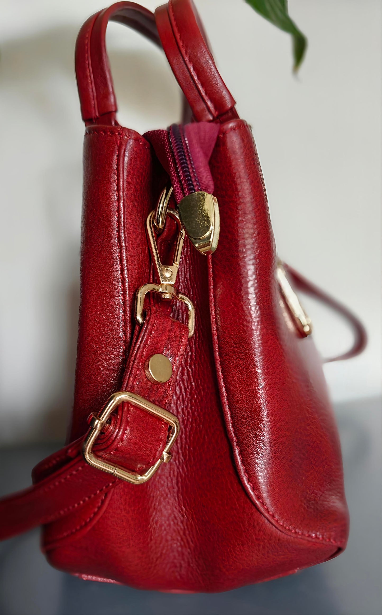 Bessel Locus Red